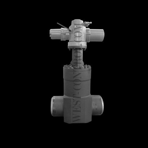 Manual Gate Valve